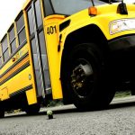 school bus from ground